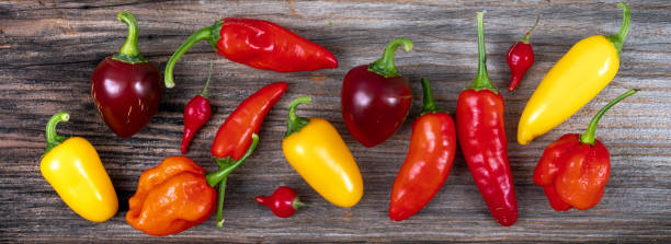 ‘Feeling the heat for hours’: Pepper X is now the world’s hottest chilli